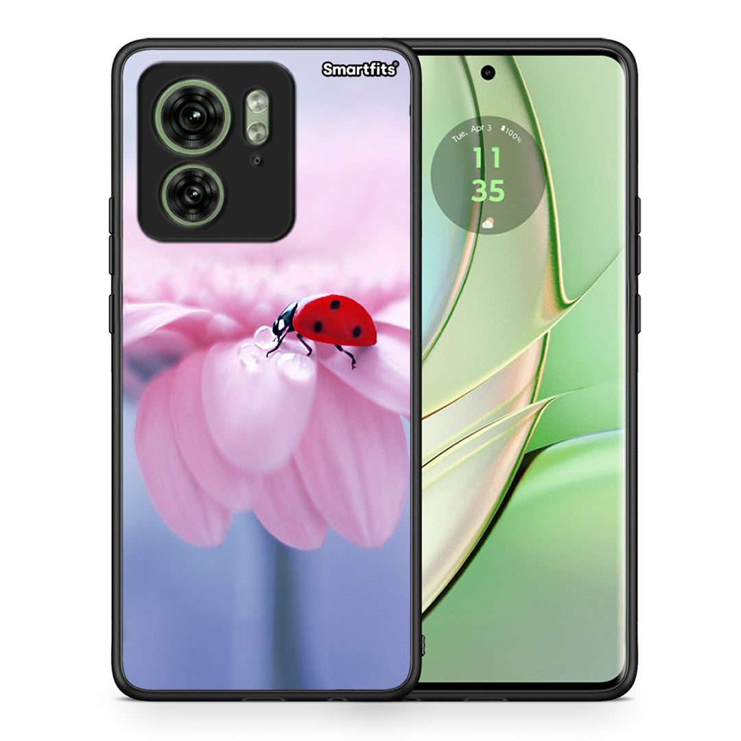 Θήκη Motorola Edge 40 5G Ladybug Flower από τη Smartfits με σχέδιο στο πίσω μέρος και μαύρο περίβλημα | Motorola Edge 40 5G Ladybug Flower case with colorful back and black bezels