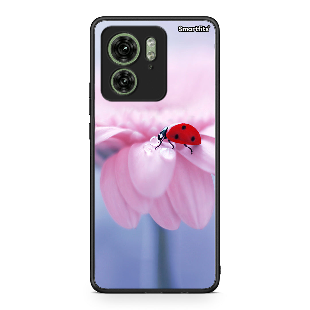 Motorola Edge 40 5G Ladybug Flower θήκη από τη Smartfits με σχέδιο στο πίσω μέρος και μαύρο περίβλημα | Smartphone case with colorful back and black bezels by Smartfits