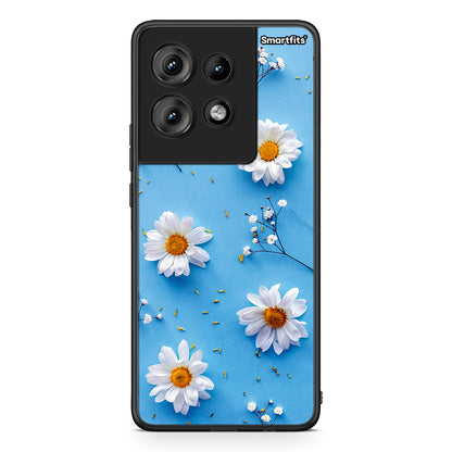 Motorola Edge 50 Real Daisies θήκη από τη Smartfits με σχέδιο στο πίσω μέρος και μαύρο περίβλημα | Smartphone case with colorful back and black bezels by Smartfits