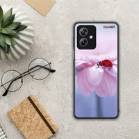 Thumbnail for Ladybug Flower - Motorola Moto G54 θήκη
