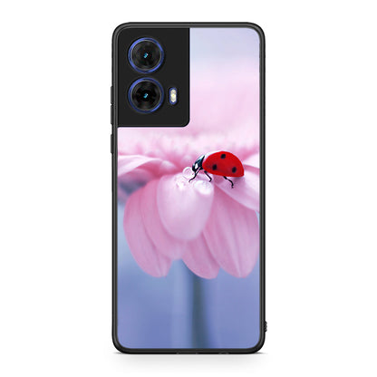 Motorola Moto G85 Ladybug Flower θήκη από τη Smartfits με σχέδιο στο πίσω μέρος και μαύρο περίβλημα | Smartphone case with colorful back and black bezels by Smartfits