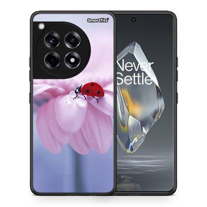 Θήκη OnePlus 12R 5G Ladybug Flower από τη Smartfits με σχέδιο στο πίσω μέρος και μαύρο περίβλημα | OnePlus 12R 5G Ladybug Flower case with colorful back and black bezels