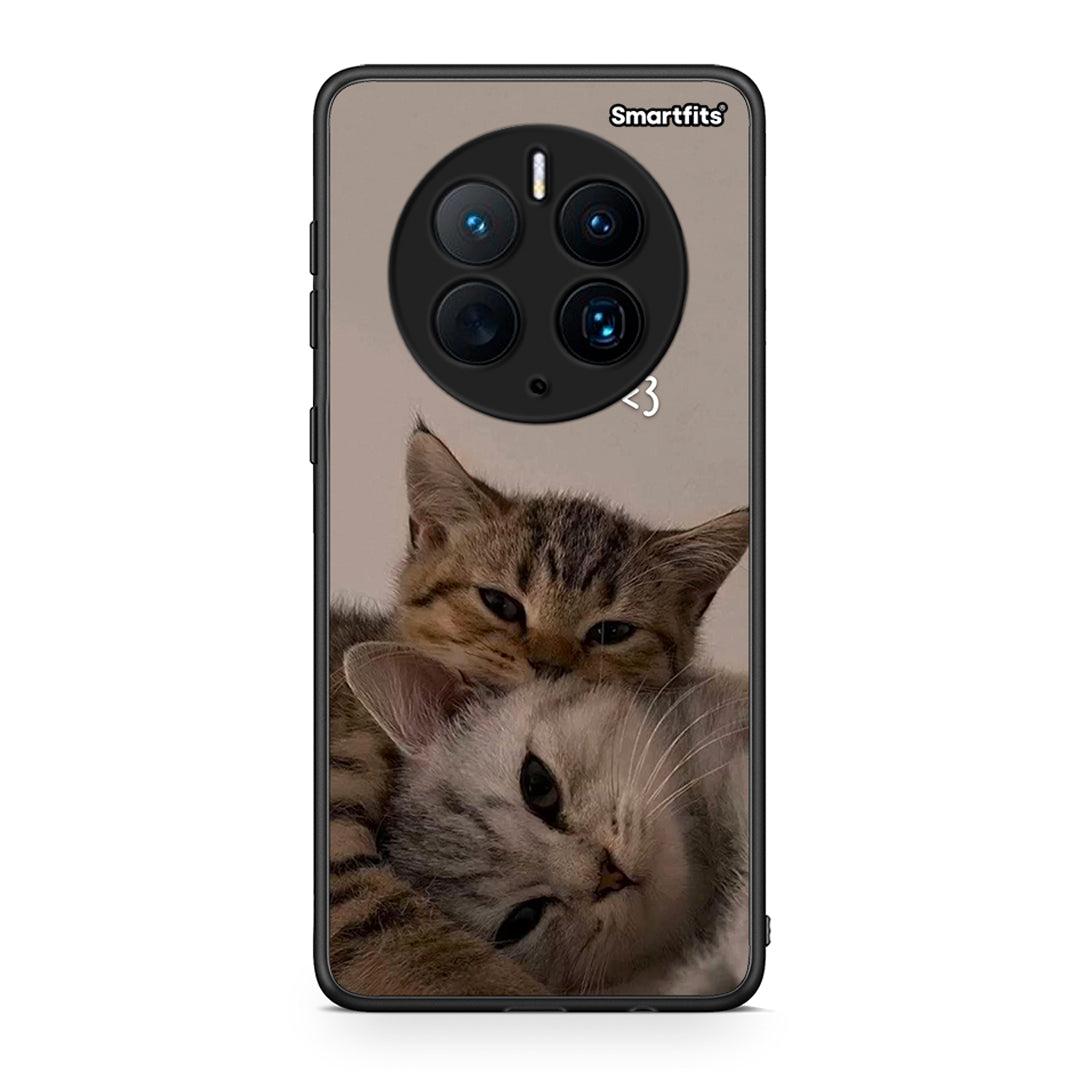 Θήκη Huawei Mate 50 Pro Cats In Love από τη Smartfits με σχέδιο στο πίσω μέρος και μαύρο περίβλημα | Huawei Mate 50 Pro Cats In Love Case with Colorful Back and Black Bezels