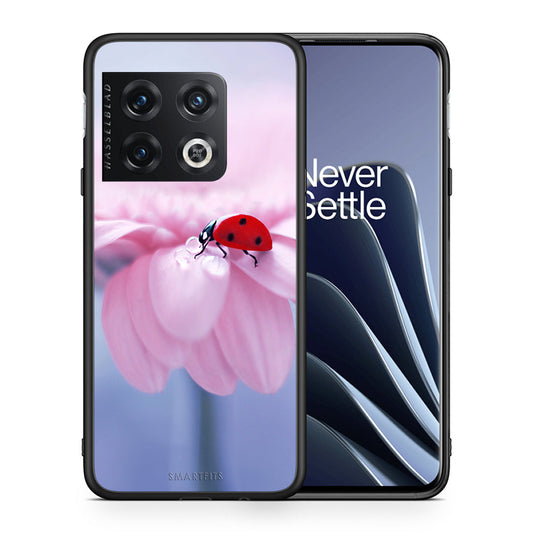 Θήκη OnePlus 10 Pro Ladybug Flower από τη Smartfits με σχέδιο στο πίσω μέρος και μαύρο περίβλημα | OnePlus 10 Pro Ladybug Flower case with colorful back and black bezels
