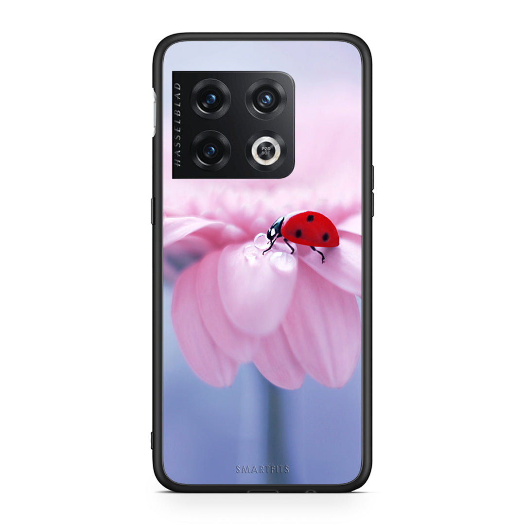 OnePlus 10 Pro Ladybug Flower θήκη από τη Smartfits με σχέδιο στο πίσω μέρος και μαύρο περίβλημα | Smartphone case with colorful back and black bezels by Smartfits
