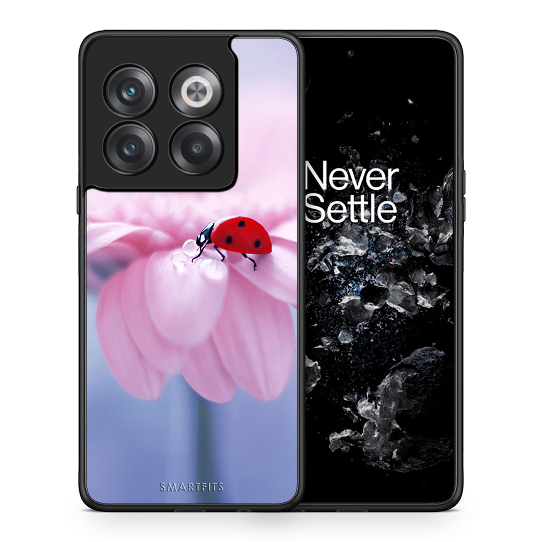 Θήκη OnePlus 10T Ladybug Flower από τη Smartfits με σχέδιο στο πίσω μέρος και μαύρο περίβλημα | OnePlus 10T Ladybug Flower case with colorful back and black bezels