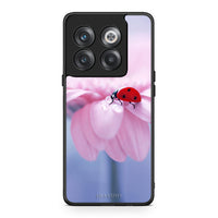 Thumbnail for OnePlus 10T Ladybug Flower θήκη από τη Smartfits με σχέδιο στο πίσω μέρος και μαύρο περίβλημα | Smartphone case with colorful back and black bezels by Smartfits