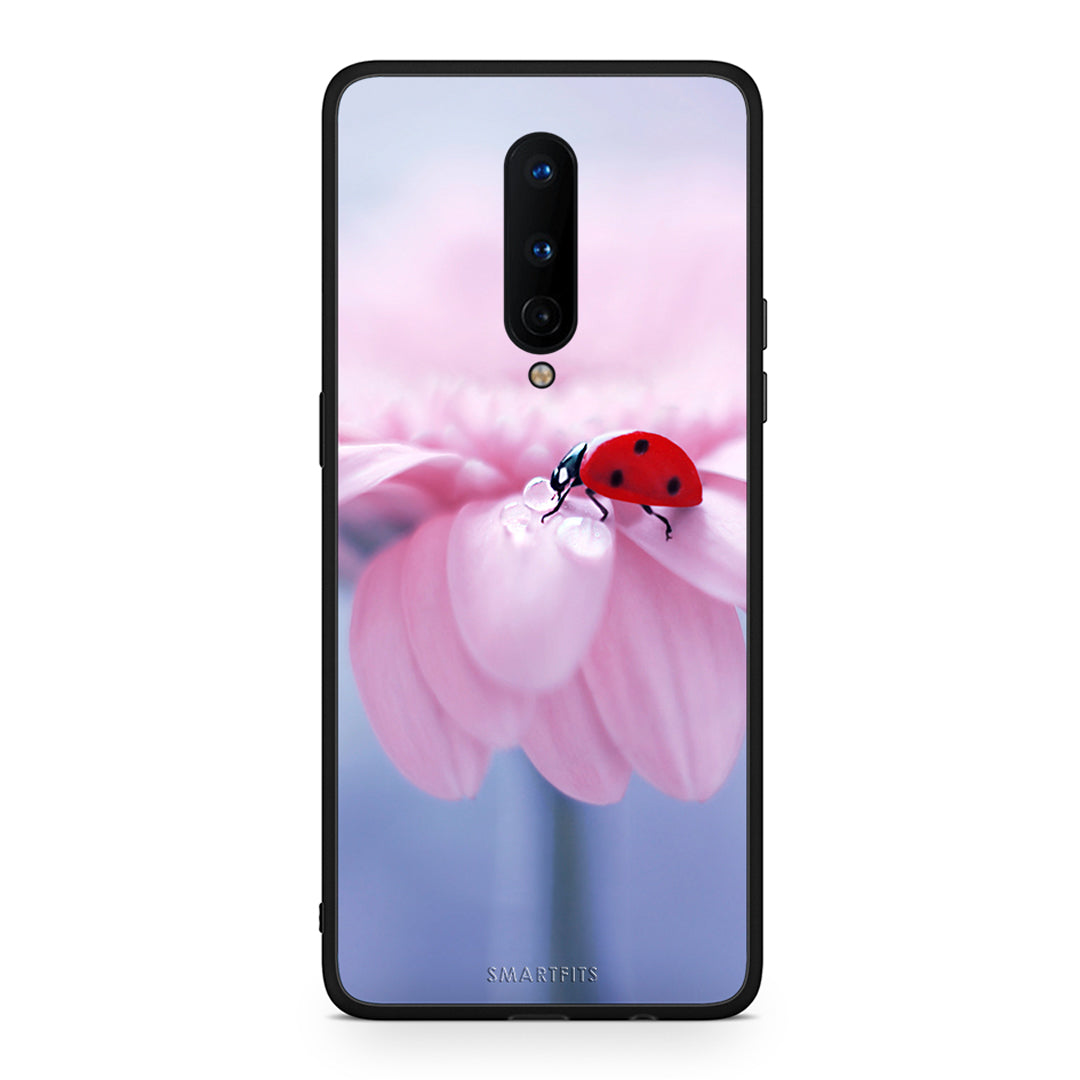 OnePlus 8 Ladybug Flower θήκη από τη Smartfits με σχέδιο στο πίσω μέρος και μαύρο περίβλημα | Smartphone case with colorful back and black bezels by Smartfits