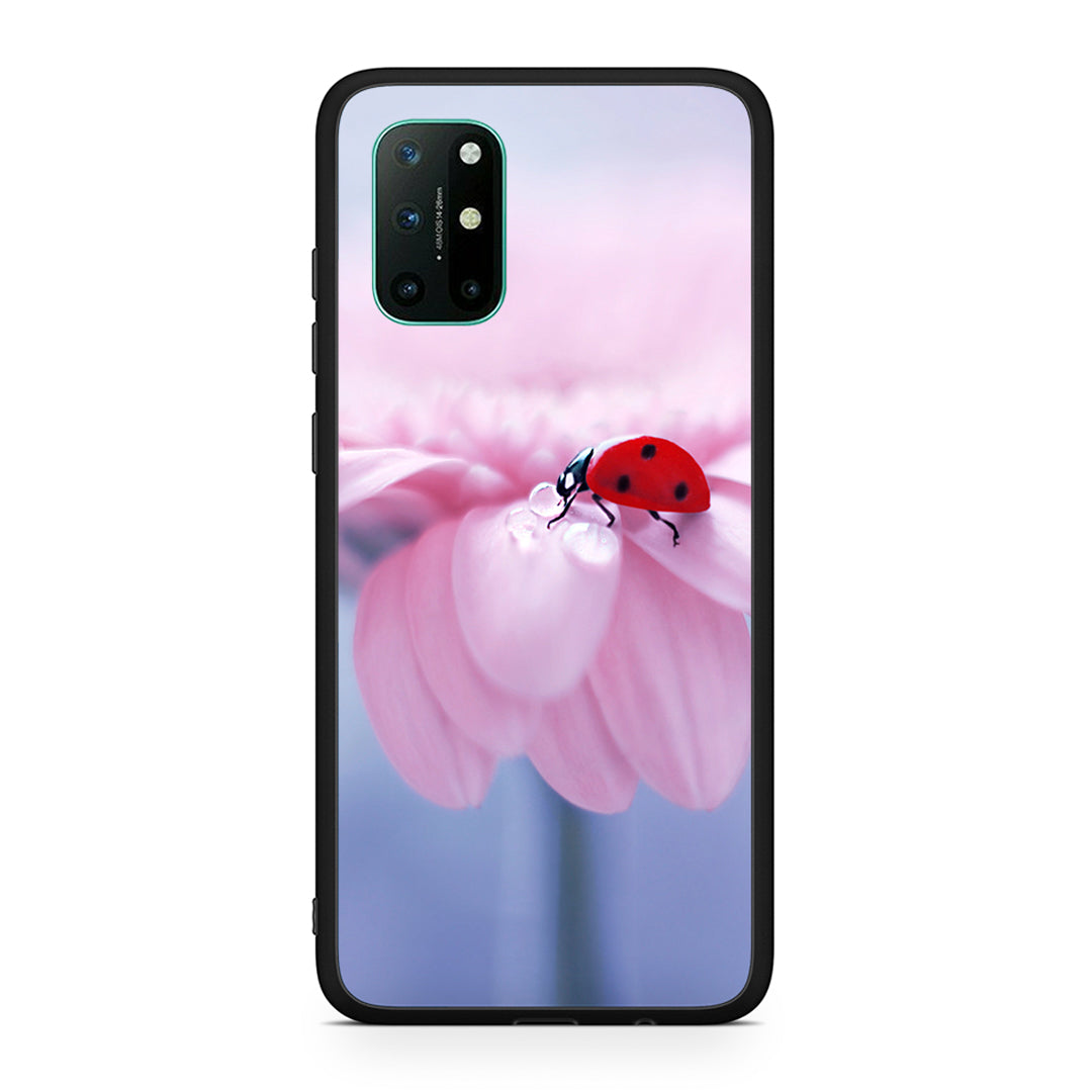 OnePlus 8T Ladybug Flower θήκη από τη Smartfits με σχέδιο στο πίσω μέρος και μαύρο περίβλημα | Smartphone case with colorful back and black bezels by Smartfits