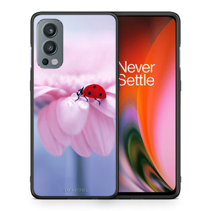 Θήκη OnePlus Nord 2 5G Ladybug Flower από τη Smartfits με σχέδιο στο πίσω μέρος και μαύρο περίβλημα | OnePlus Nord 2 5G Ladybug Flower case with colorful back and black bezels