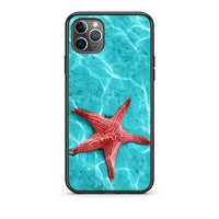 Thumbnail for iPhone 11 Pro Red Starfish Θήκη από τη Smartfits με σχέδιο στο πίσω μέρος και μαύρο περίβλημα | Smartphone case with colorful back and black bezels by Smartfits