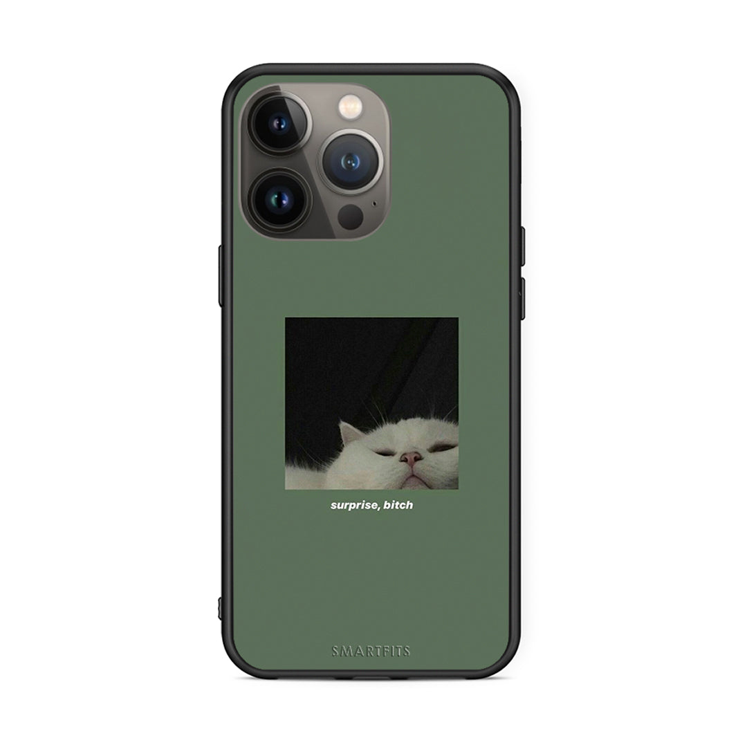 iPhone 13 Pro Max Bitch Surprise θήκη από τη Smartfits με σχέδιο στο πίσω μέρος και μαύρο περίβλημα | Smartphone case with colorful back and black bezels by Smartfits