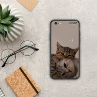 Thumbnail for Cats In Love - iPhone 6 / 6s θήκη